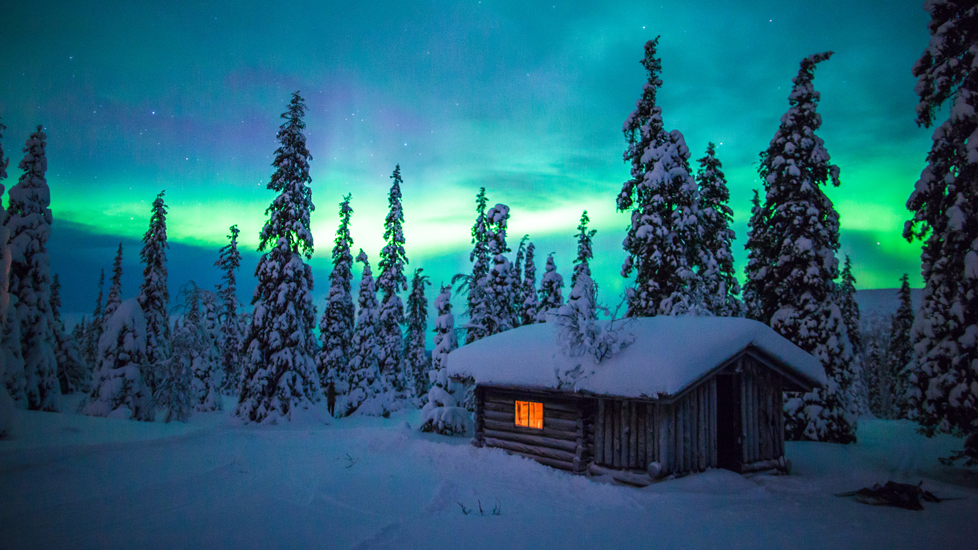 Download Polarlichter Island Wallpaper Gif